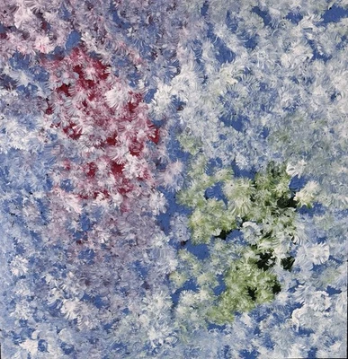 Kate Pitjara 💕Arte aborigen 50 cm X 50 cm certificado de autenticidad suministrado Foto 1 de 4