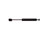 Strong Arm 6204 Tailgate Lift Support For 03-08 Toyota Matrix