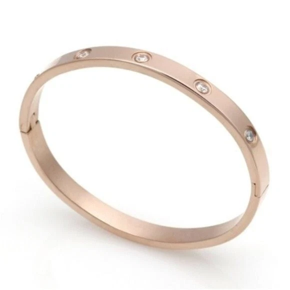 Brazalete de oro rosa elegante clásico redondo circonita cúbica brazalete amor Foto 1 de 1