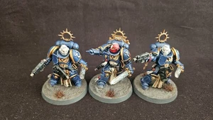 Ultramarines | Bladeguard Veterans | Painted & Ready for Battle - Picture 1 of 6