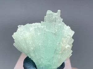 Ramo de cristal de turmalina de 18 quilates espécimen de Afganistán  - Imagen 1 de 9