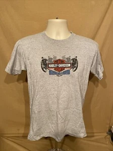 Motorcycle Thunderbird Harley Davidson Gray T Shirt TSHIRT Youth Large L - Picture 1 of 11