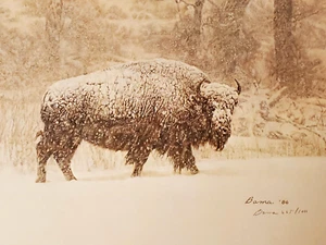 James Bama Winter on Trout Creek #665/1000 + Certificate + Folder MINT 1987 - Picture 1 of 11
