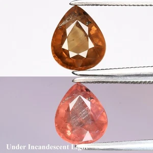 💎 1.66ct 7.7x6.5mm Pear Natural Color Change Garnet - Unheated, Africa Gemstone - Picture 1 of 6