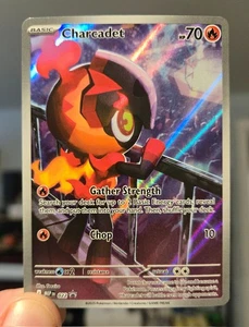 Pokémon TCG Charcadet MEP 022 Mega Evolution Black Star Promo NM/M - Picture 1 of 1