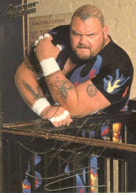 1994 Action Packed WWF #1-42 Wrestling Cards*Complete You Set*High Grade*WWE - Image 1 of 1