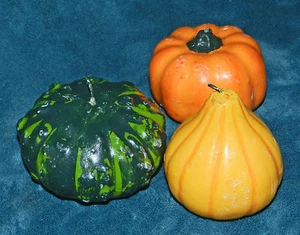 ADORABLE LOT OF 3 PUMPKINS & GOURDS CANDLES! FALL/THANKSGIVING/HALLOWEEN - Picture 1 of 3