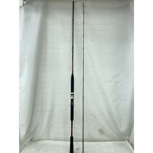 Shimano Boat Rod 25689 20 Sea Mighty X 64 50-240 - Imagen 1 de 6