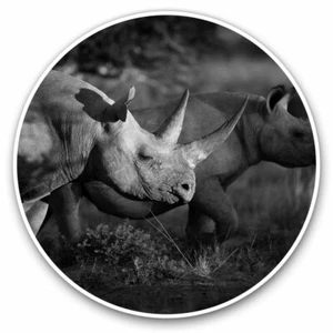 2 x Vinyl Aufkleber 25 cm - Rhinosaurus Nashorn Wildtier cooles Geschenk #24514 - Bild 1 von 9