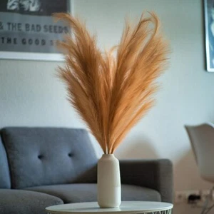 Pampagra Decoración Set Naranja, XXL Artificial, 3 Piezas, 100cm, Boho Chic - Imagen 1 de 4