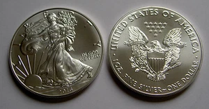 2010 $ 1 AMERICAN SILVER EAGLE MS 67 - Bild 1 von 1