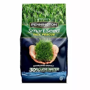 Grass Seed for Lawn Perennial 750 SQ FT Yard Spot Repair Care Essentials - Picture 1 of 6