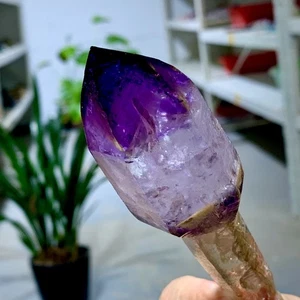 126G Ametista viola naturale monopunto spina dorsale quarzo esemplare minerale - Foto 1 di 24