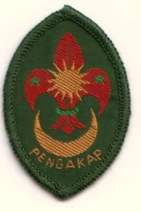 MALAYSIA SCOUT TENDERFOOT DÉCADA DE 1970 2DA EDICIÓN VERDE - Imagen 1 de 1