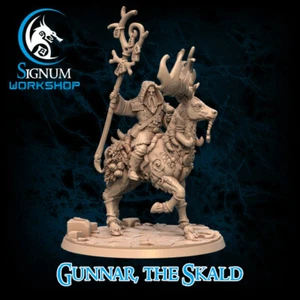 Gunnar - Skald Druid Forest Human - Signum Games - Fantasy Dungeons and Dragons - Picture 1 of 1