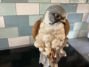 RARE Sherratt & Simpson Bird Of Prey Large 33cm 1.4kg Stunning Like BFA - Picture 1 of 21