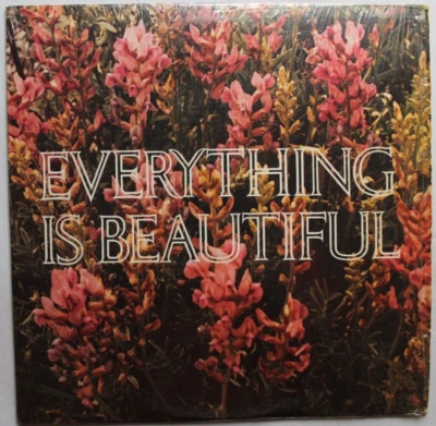 EVERYTHING IS BEAUTIFUL LP 12" VINYL RECORD VARIOUS COMPILATION - Image 1 of 4