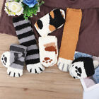 6 Pairs Winter Cat Claws Cute Thick Warm Sleep Floor Socks Plush Coral Sock