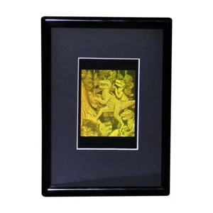 3D T-Rex Dinosaur Hologram Picture (FRAMED), Photopolymer Type Film - Picture 1 of 7