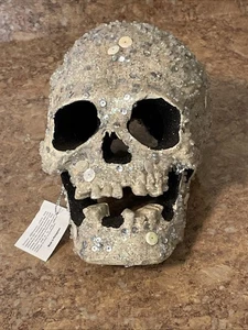 Katherine’s Collection Totenkopf Pailletten bei Silverlake Collection - Bild 1 von 8