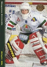 1994-95 Swedish Leaf #89 Magnus Swardh