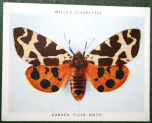 GARTENTIGER MOTTE Vintage 30er Jahre Vordruckkarte - Bild 1 von 2