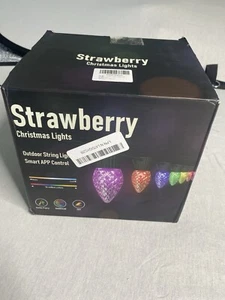 Strawberry RGB Color Changing Smart LED Christmas Lights NO PLUG OR REMOTE - Picture 1 of 6