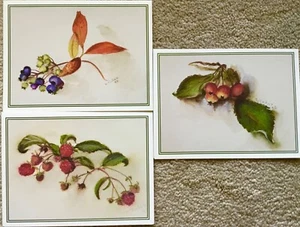 3 Vintage different Tasha Tudor GreetIng Cards MINT raspberries Blue Berries - Foto 1 di 1