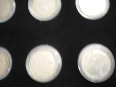 LOTE DE 6 MONEDAS NAZIS HINDENBURG DE 2 MARCOS 1939 ESTADO AU Foto 1 de 4