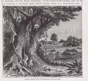 Landscape of Lemuria - The Lost Land of the Lemurs -1915 Print - Picture 1 of 2