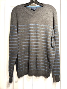 Allen Solly 100% Cashmere Sweater Men L Gray Blue Stripe Long Sleeve V Neck Flaw - Picture 1 of 16