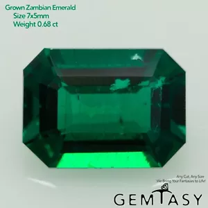 Cut stone - Emerald Zambian hydrothermal lab grown, Octagon 7x5mm 0.68-0.84ct - Picture 1 of 4