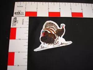 Hunting Patch Turkey - Picture 1 of 3