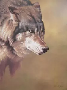Alan Hunt Wolf Porträt signiert limitierte Auflage Kunstdruck 80er Jahre neu Wildlife - Bild 1 von 1