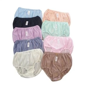 Vintage Nylon Panties Bikini Underwear Granny Sheer Gusset Mushroom Full - Picture 1 of 10