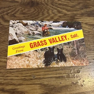 Grüße aus Grass Valley Kalifornien Postkarte 60er Jahre niedliche Bärenjungen - Bild 1 von 2