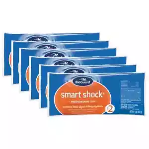 BioGuard Smart Shock 1 lb Bags - 6 pk FREE SHIPPING - Picture 1 of 1