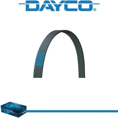 Dayco Poly Rib Serpentine Belt for DODGE GRAND CARAVAN 2011-2020 V6-3.6L - Image 1 of 4