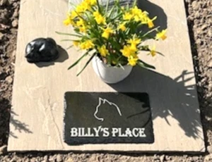 Dog Cat Memorial Plaques: Remembered Rabbits, Birds, Guinea Pigs Hamsters & More - Picture 1 of 25