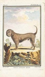 1758 Französischer Hundestich "Chien Courant Métis" (Mischlingshund Hund) - Bild 1 von 4