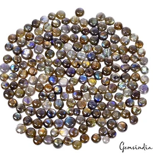 800 Ct/191Pc Natural Labradorite 8-13mm Round Cabochon Lot Flashy Loose Gems Lot - Picture 1 of 6