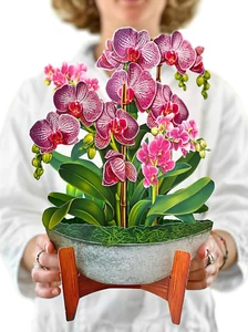 Pop up Cards, Orchid Oasis, 12 Inch Life Sized Forever Flower Bouquet 3D Popu... - Picture 1 of 1