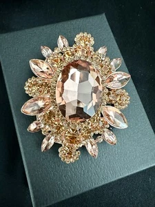 Natasha Rose Rhinestone Crystals Coat Pin/Brooch - Picture 1 of 4