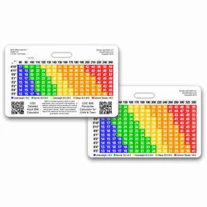 Body Mass Index BMI Horizontal Badge ID Card Reference Pocket Guide Trainer RN - Imagen 1 de 1