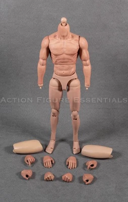 1/6 Body Set w Upper Body & Hand Details Action Figure Doll 12" Nude Custom Dext - Image 1 of 4