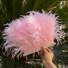 1/5/10Meters Fluffy Ostrich Feathers Trims Fringe 8-10CM Feather Dresses Decor