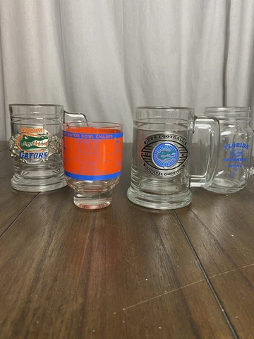 Florida Gators Steve Spurrier Pint Glass Mug Stein Set Football Swimming UF Cover