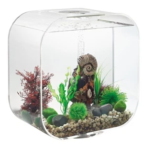 Oase biOrb LIFE 30 MCR transparent Dekoration Aquarium Design - Bild 1 von 3