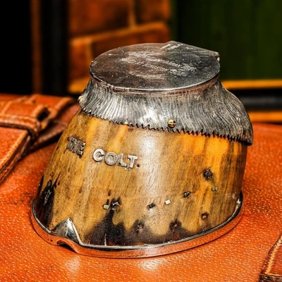 Bonito tintero antiguo de plata esterlina para caballo trofeo de taxidermia arte campo Foto 1 de 4