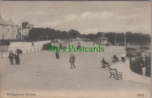 Postal Devon - Babbacombe Downs, Nr Torquay RS31611 - Imagen 1 de 2